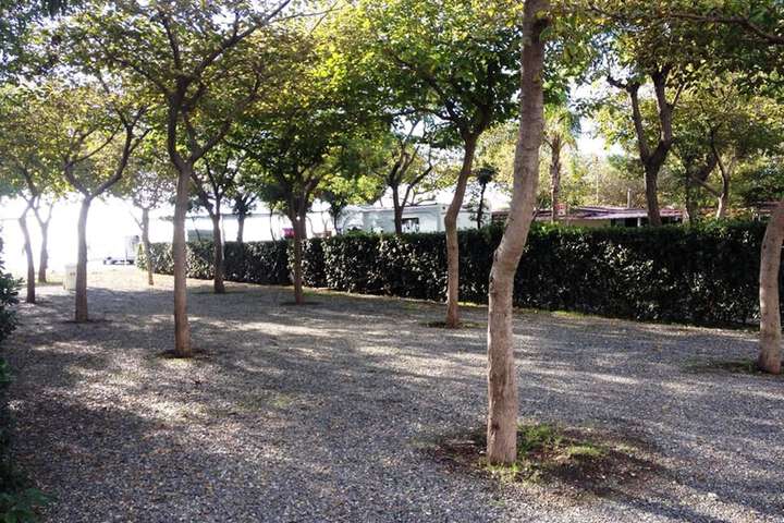 Property Grounds 23 of 37