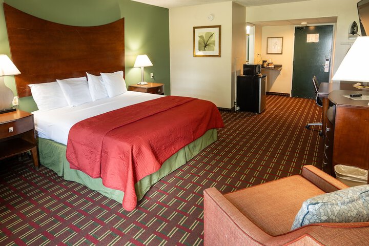 Deluxe King Bed (5 of 10)