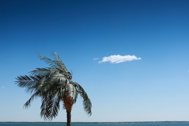 Beach 55 of 60