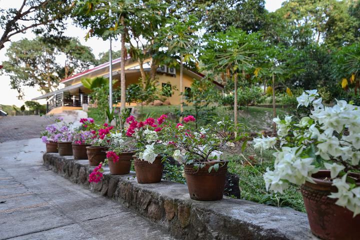 Hotel Exterior 58 of 69