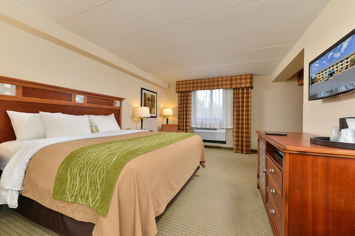 1 King Bed Accessible (15 of 17)