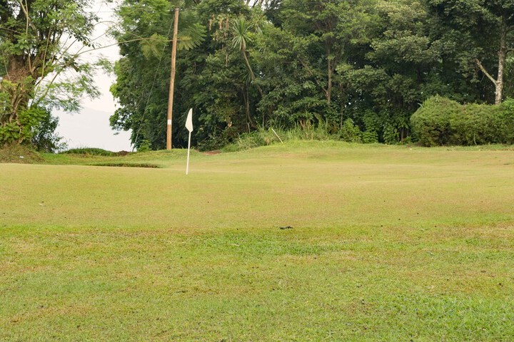 Golf 33 of 50
