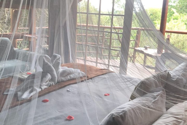 Room 25 of 75