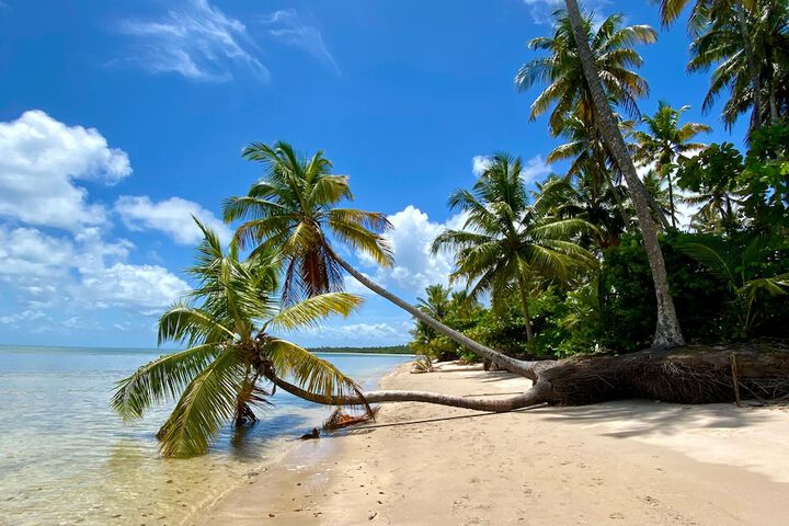 Beach 36 of 45