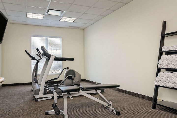 Gym & Fitness
