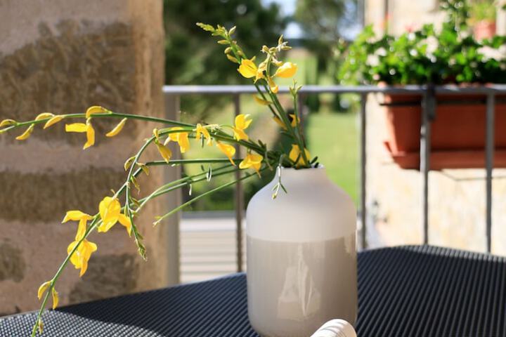 Terrace/Patio 21 of 46