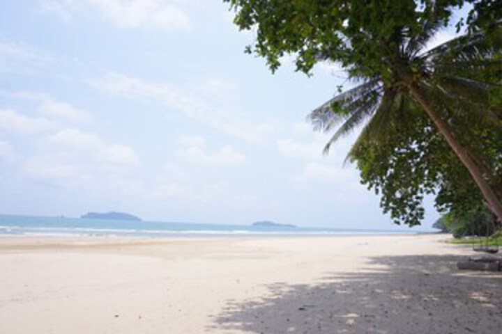 Beach 10 of 45
