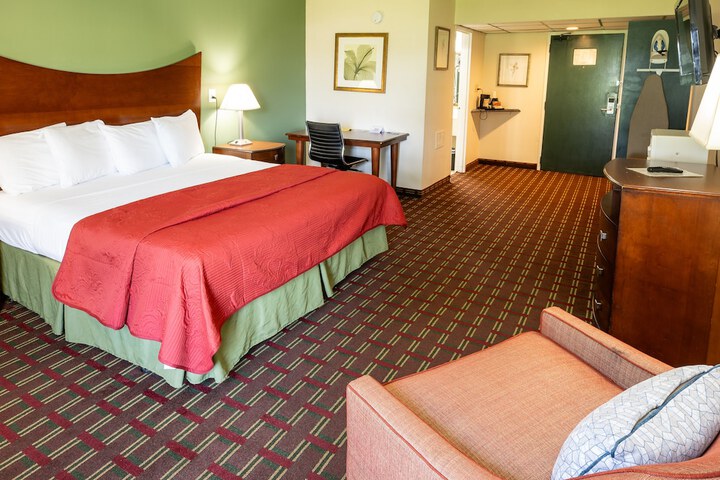 Deluxe King Bed (7 of 10)