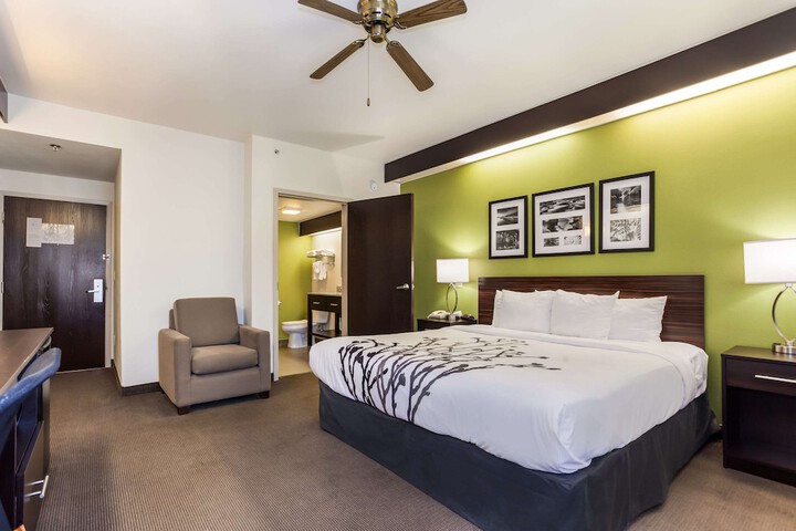1 King Bed (5 of 11)