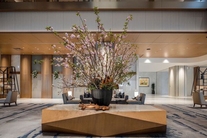Entrance & Lobby