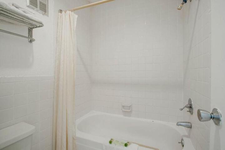 Photo 50