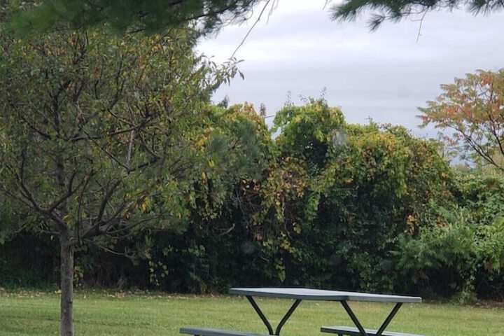 BBQ/picnic area
