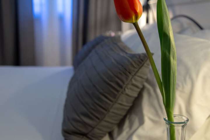 Room 15 of 51