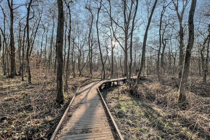 Hiking