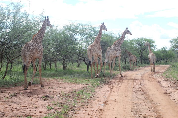 Property Grounds 18 of 24