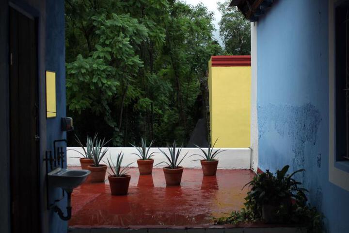 Photo 16