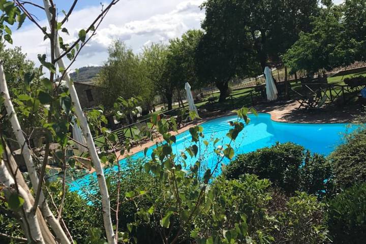 Pool 23 of 69