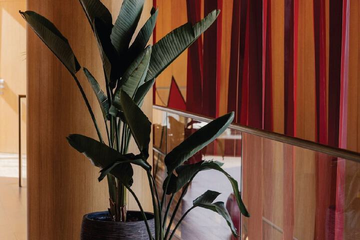 Hotel Interior 96 of 102