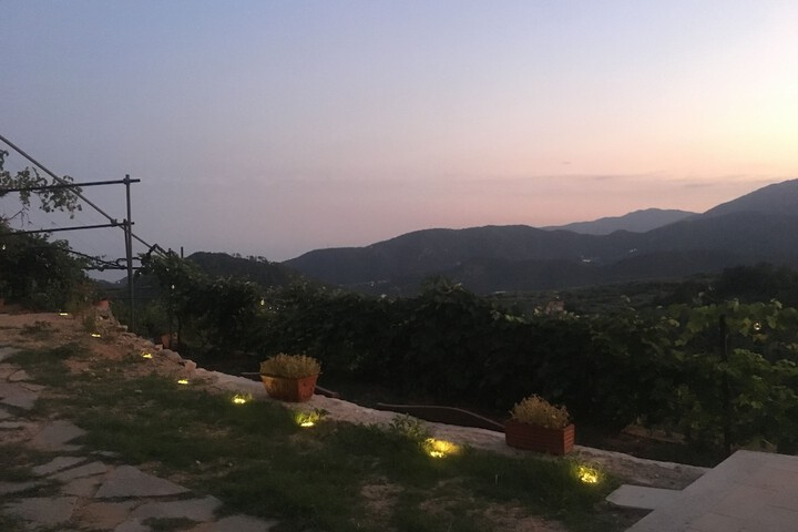 Terrace/Patio 58 of 71