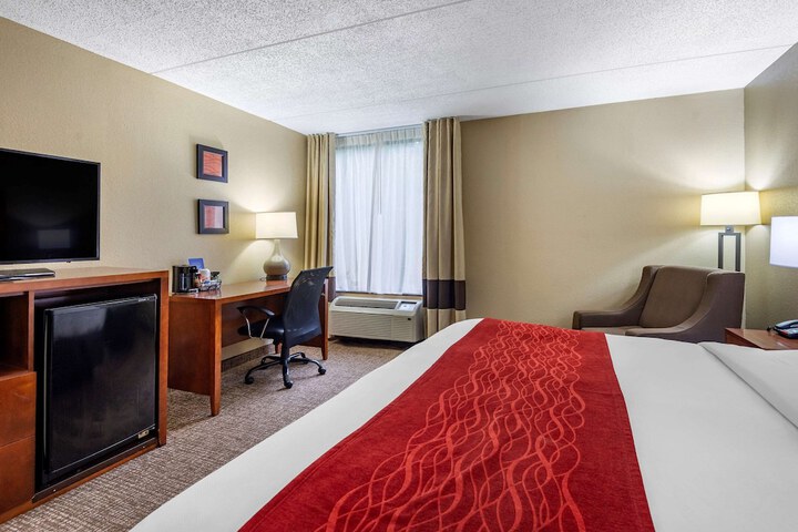 1 King Bed (6 of 13)