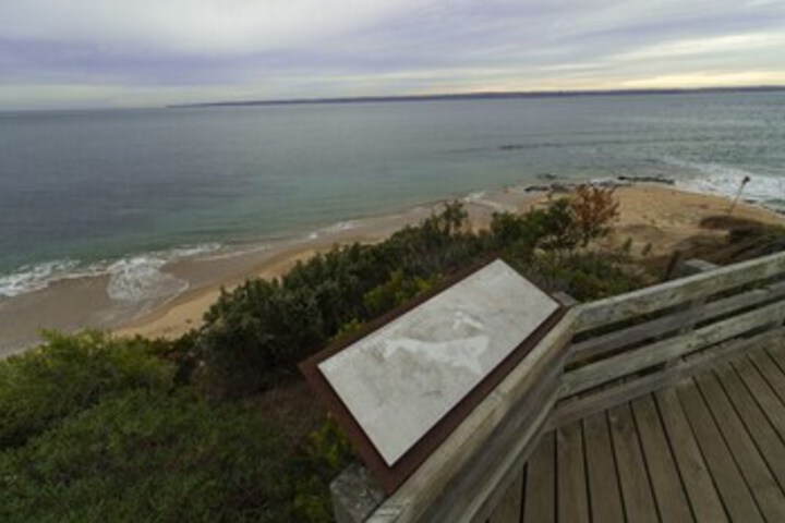 Property Grounds 15 of 21