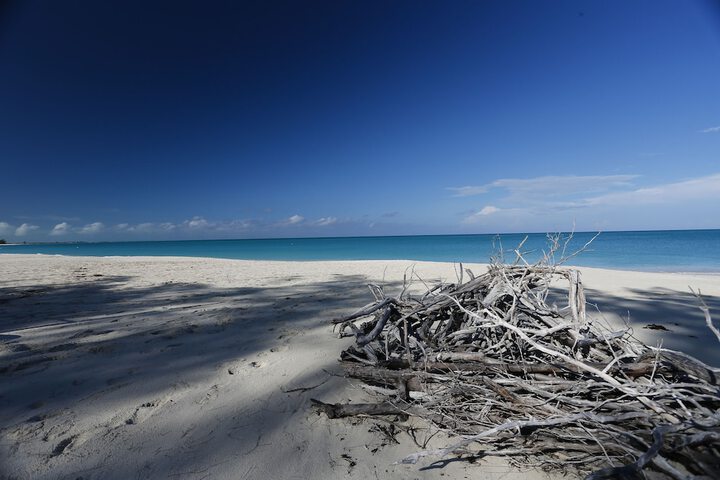 Beach 66 of 98