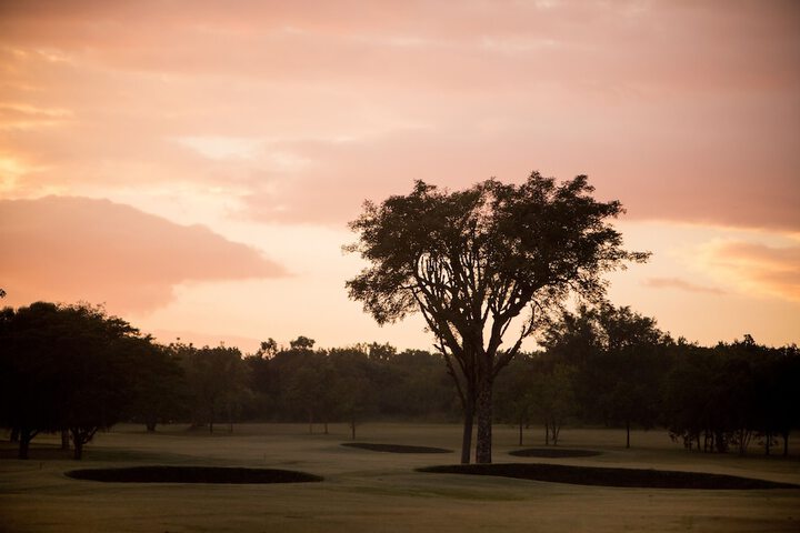 Golf 25 of 53