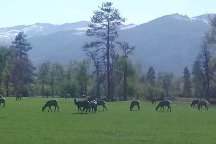 Property Grounds 21 of 45