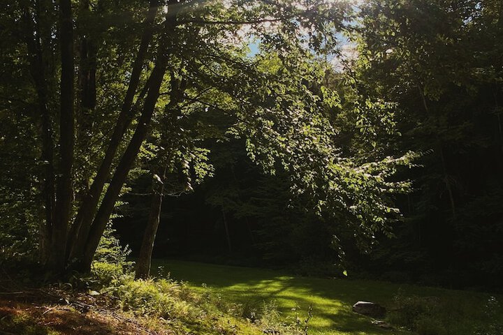 Property Grounds 32 of 35