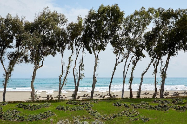 Beach 494 of 578