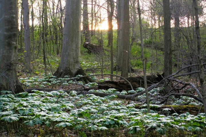 Outdoor Activities 289 of 345