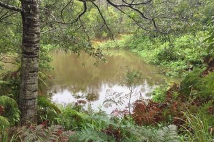 Property Grounds 39 of 63