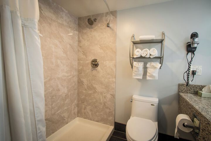 1 King Bed Pet Friendly Accessible (31 of 90)