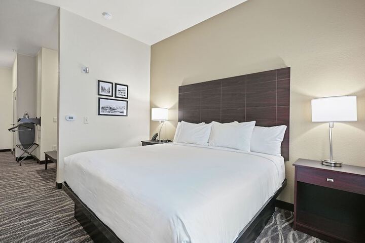 1 King Bed Accessible (8 of 32)