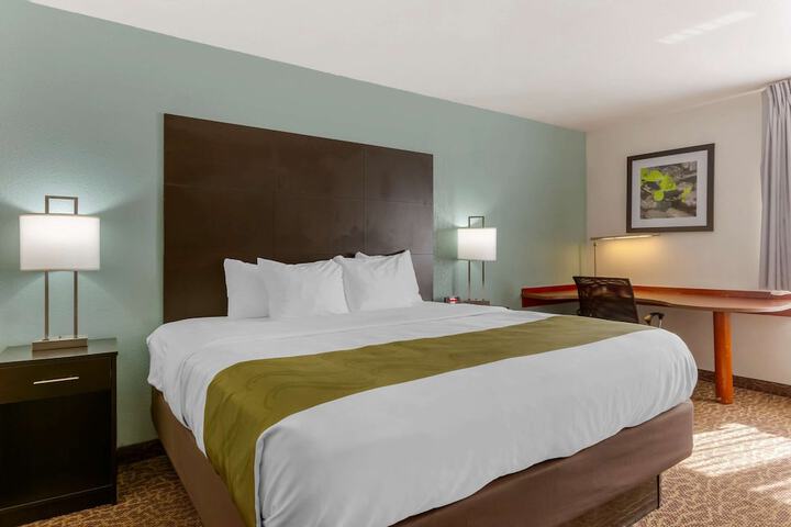 1 King Bed (23 of 30)