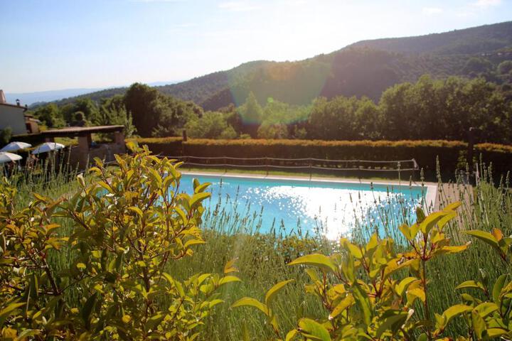 Spa and Wellness Pictures