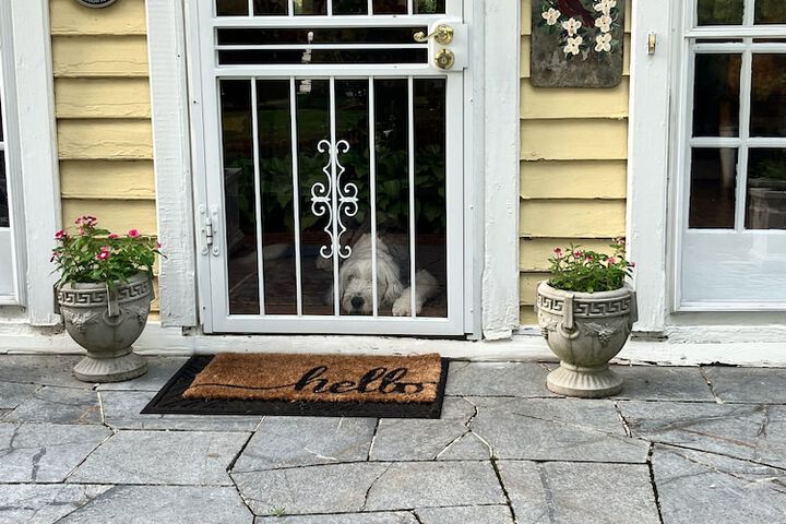 Pet Friendly 79 of 93