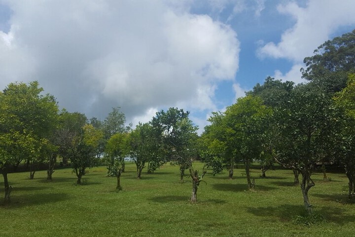 Property Grounds 17 of 23