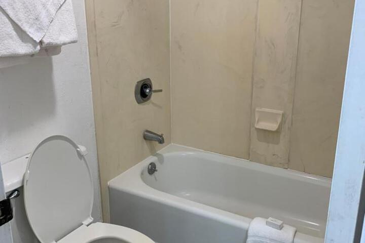 2 Queen Beds Pet Friendly (3 of 18)