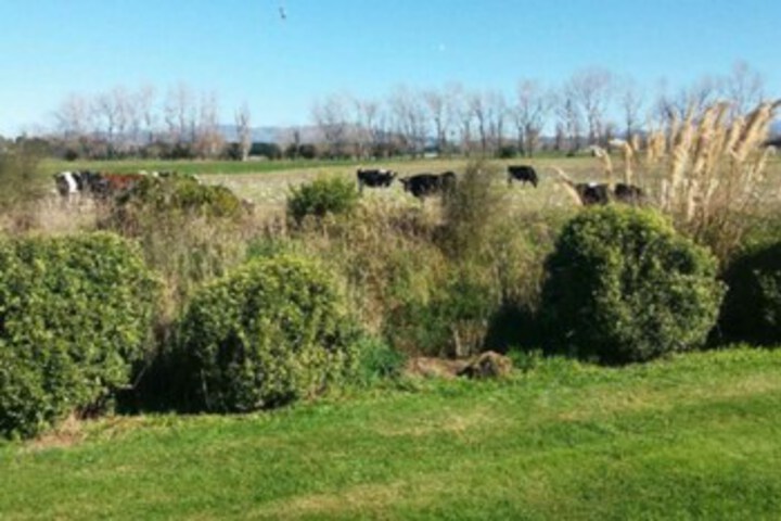 Property Grounds 16 of 24