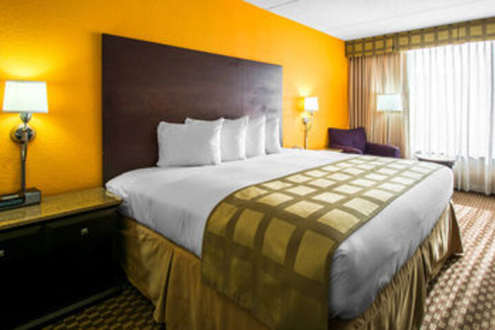 Suite Photo