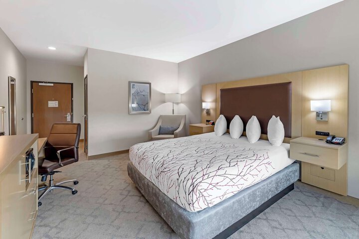 1 King Bed Microfridge 50flat High Speed Full Breakfast (6 of 20)