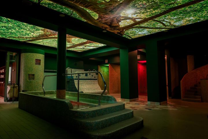 Wellness Treatments