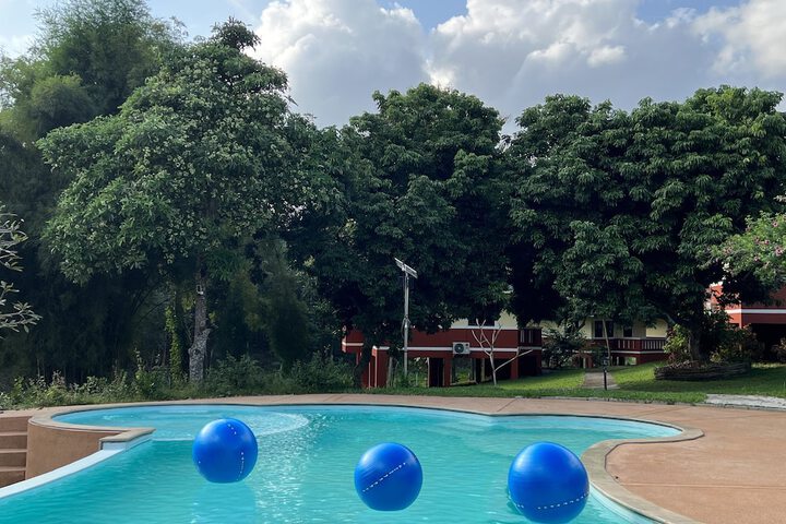 Pool 23 of 44