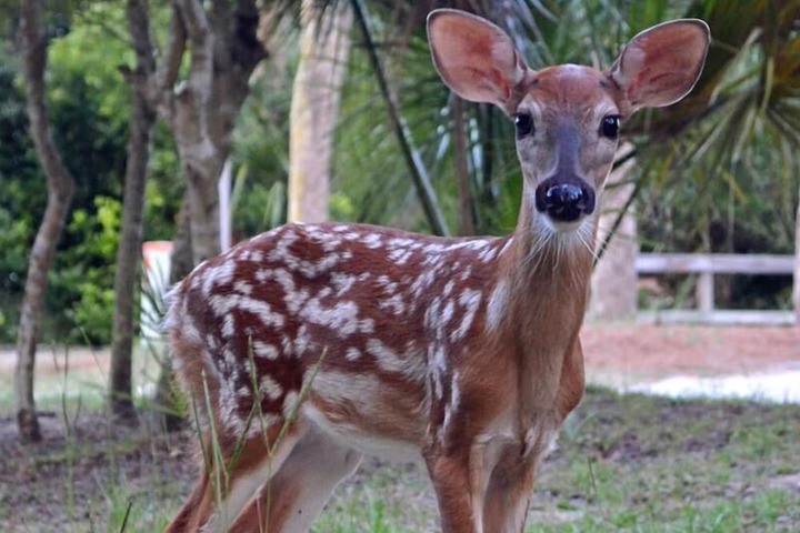 Property Grounds 21 of 39