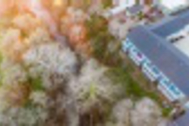 Hotel Exterior 28 of 407