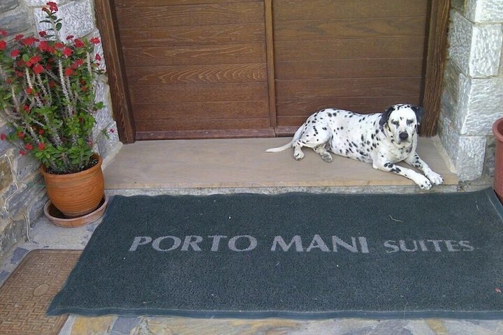 Pet Friendly 22 of 38