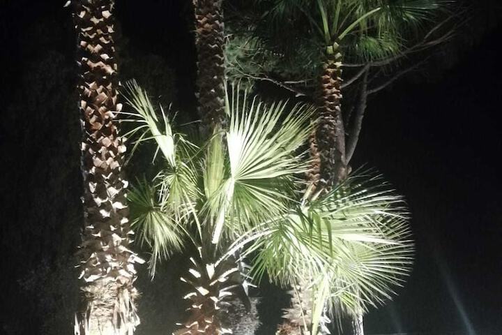 Hotel 5 of 34