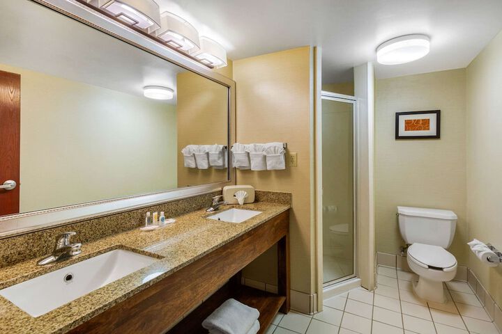 1 King Bed Suite (22 of 29)