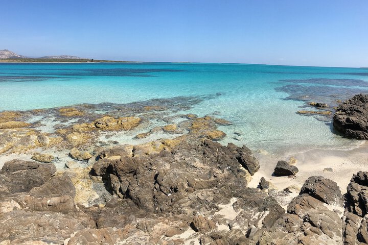 Beach 73 of 99